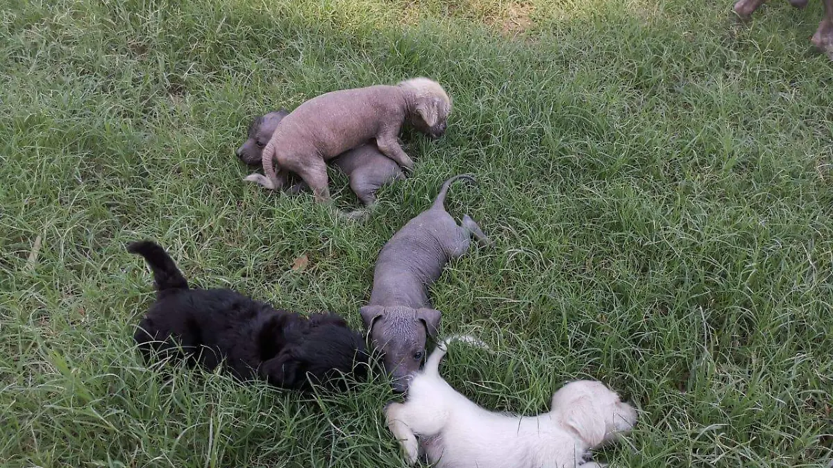 6df55f52-c30e-415f-aaad-cf40a749d13d