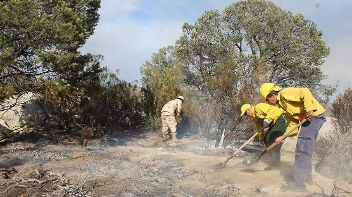 64d65c01-d075-4e1e-9cce-7d5f038077db