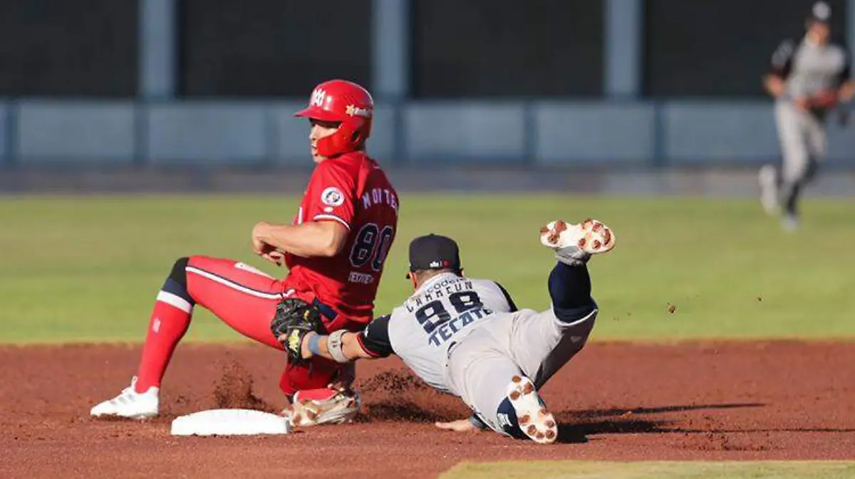 339988b1-a699-46de-a739-ff0f41054db7