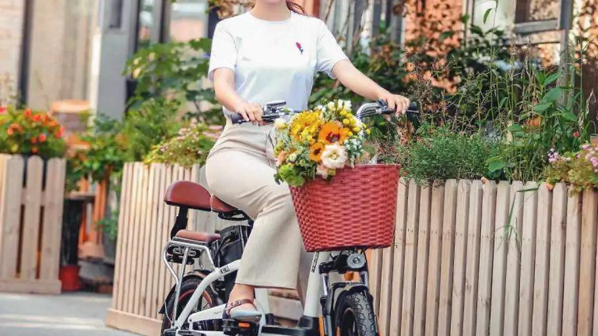 Bicicleta-eléctrica-12-768x768