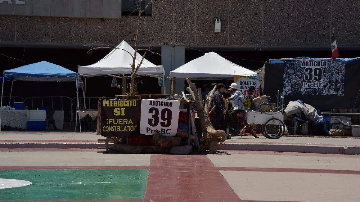 55596ce6-1884-4e16-8975-575fd4263839