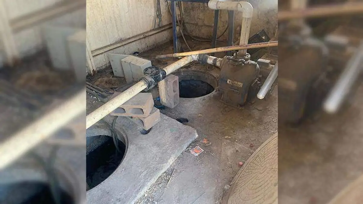 WhatsApp Image 2022-06-16 at 11.52.14 AM