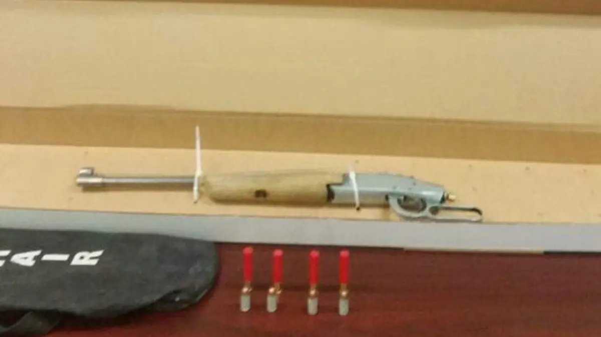 55c31968-c201-45e2-871c-7d4d45a52595