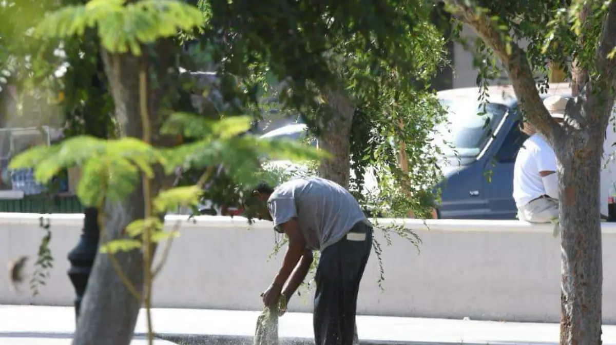 7ff41e5d-c53f-4e7f-9028-2b294224ff62