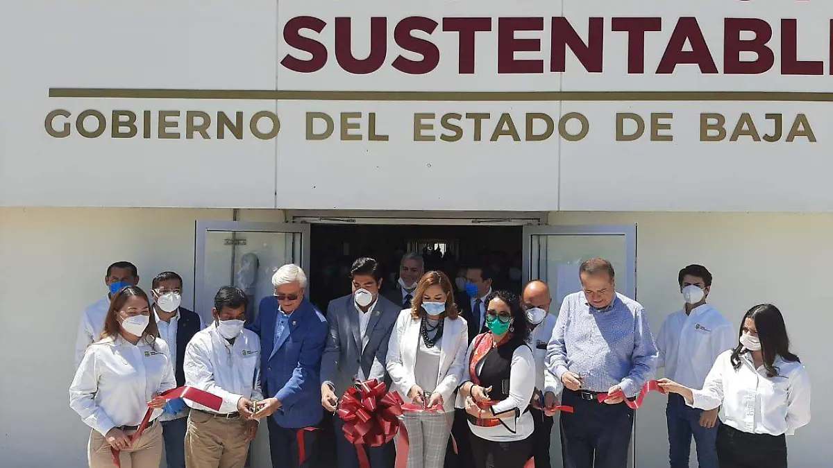 79b55ced-3c26-4469-a802-efb52983ecc9