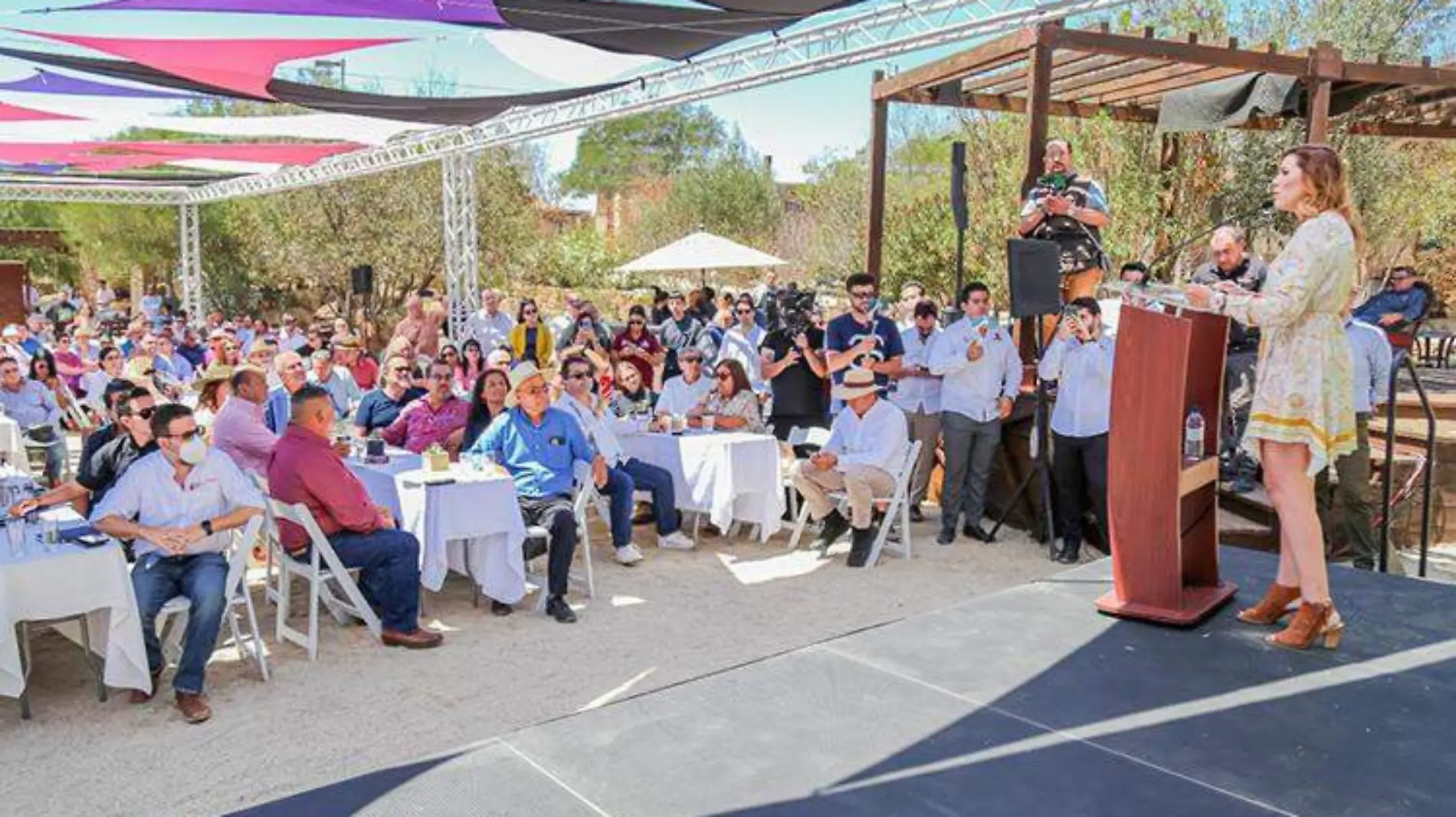 valle de guadalupe 