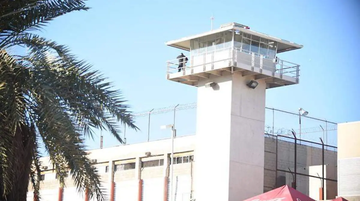 d1d56580-54f6-46b7-aabe-e66fb19547de