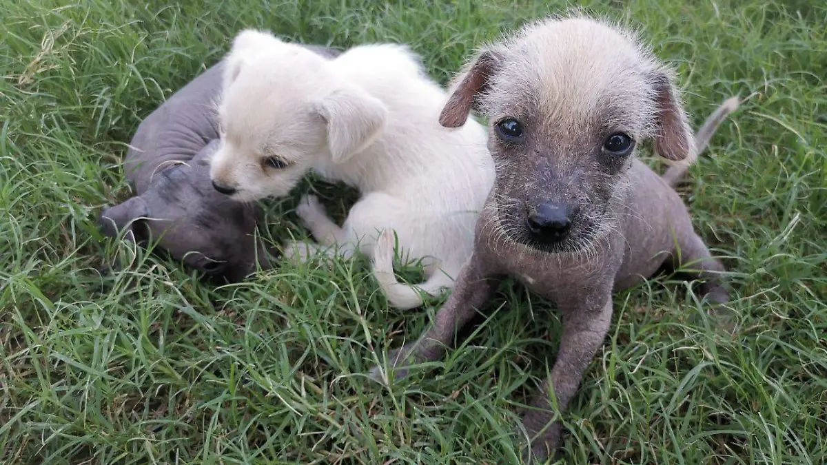 80455763-88ba-452d-831d-b466c682cf85