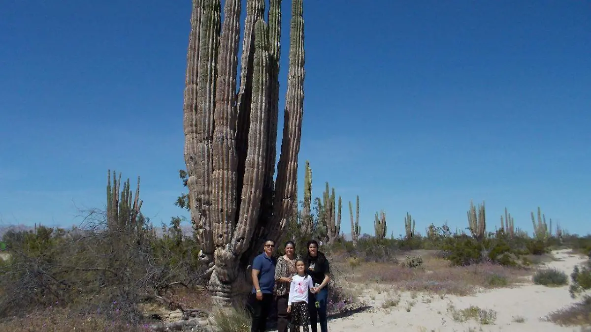 75efbef2-f268-49c4-9456-6d82641ba246