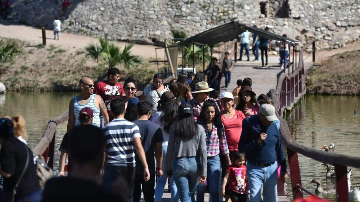 d11955d6-24cb-4062-85ca-e34de9acfa16