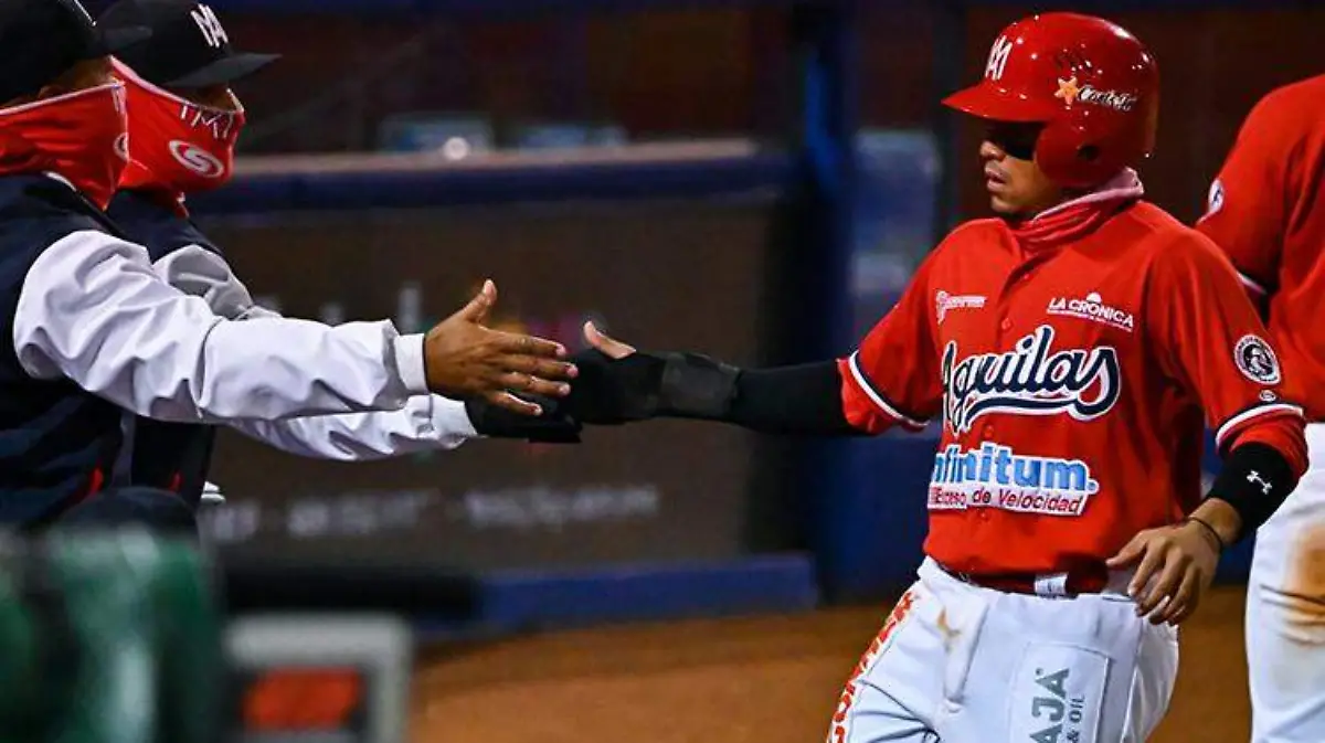 ebf42733-30bf-4338-b519-0653f3849e9c