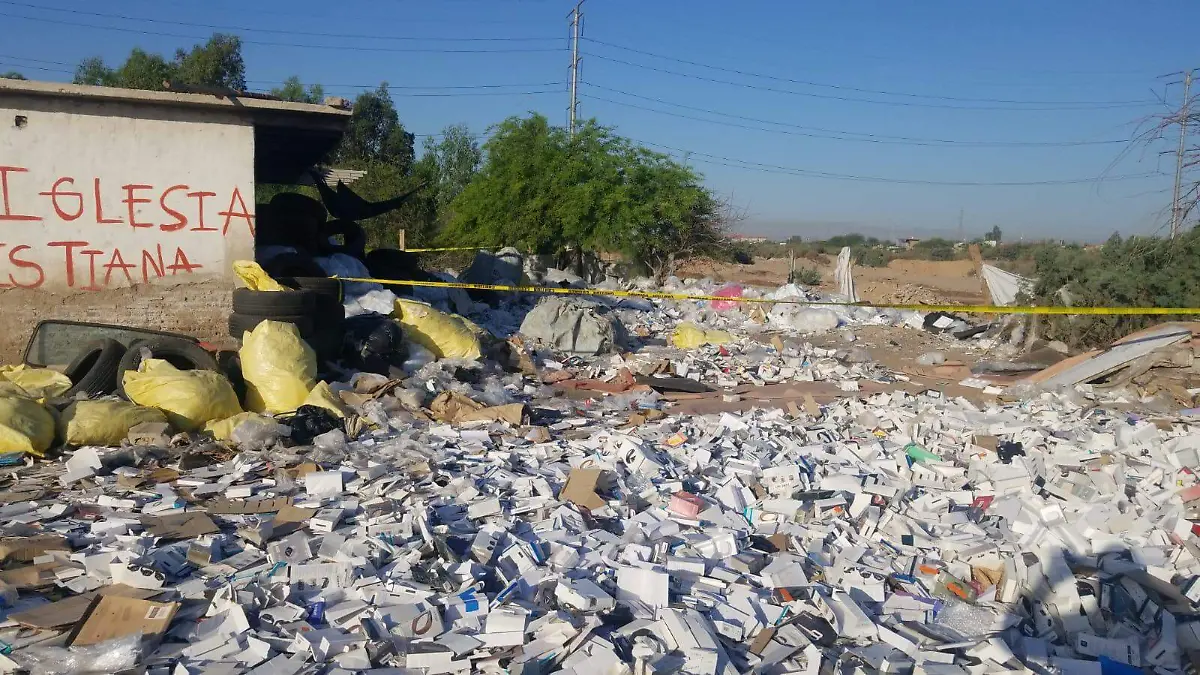 WhatsApp Image 2022-04-27 at 8.17.09 AM copia