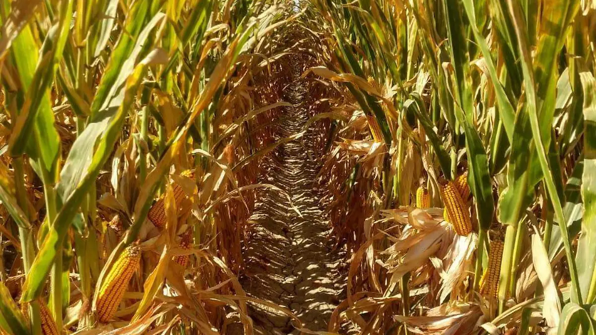 5af60d93-c5d0-44cb-84c0-7ea0bf00f88f