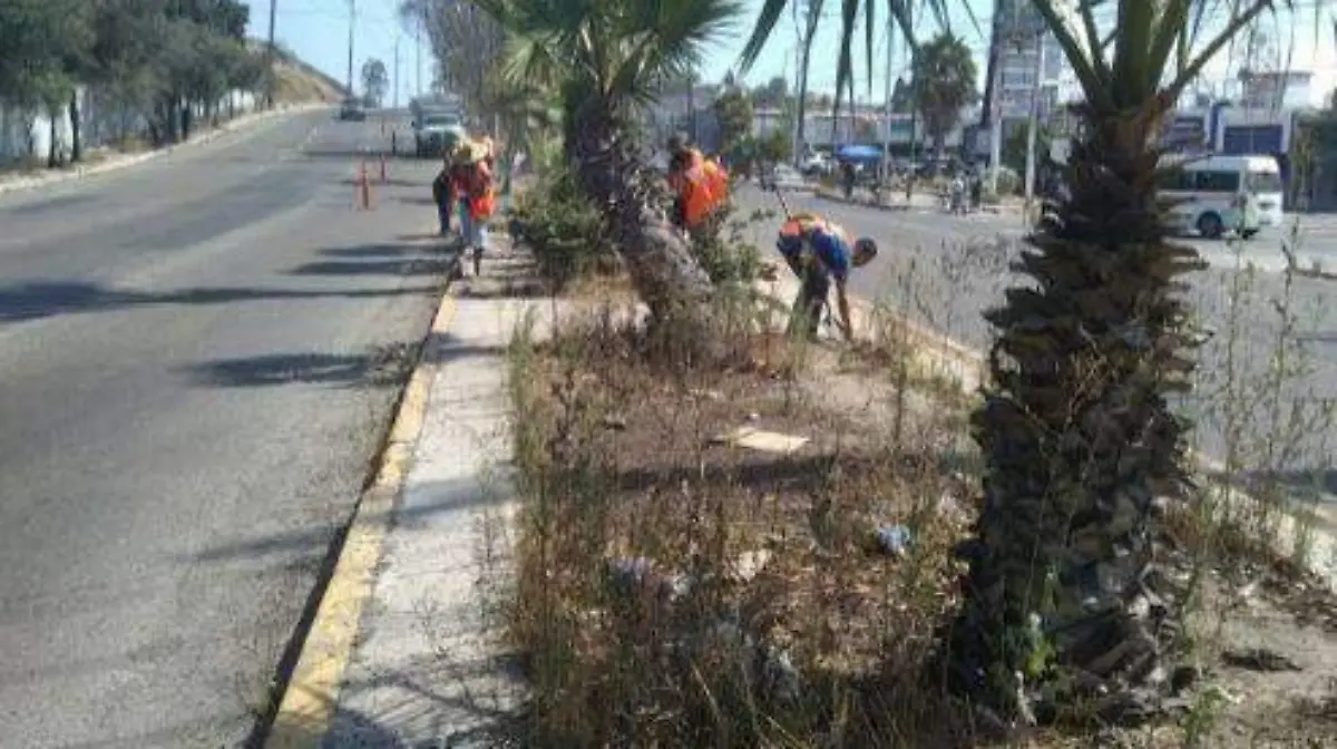 9d892585-6da6-4ea5-9ef2-57e1ac443475