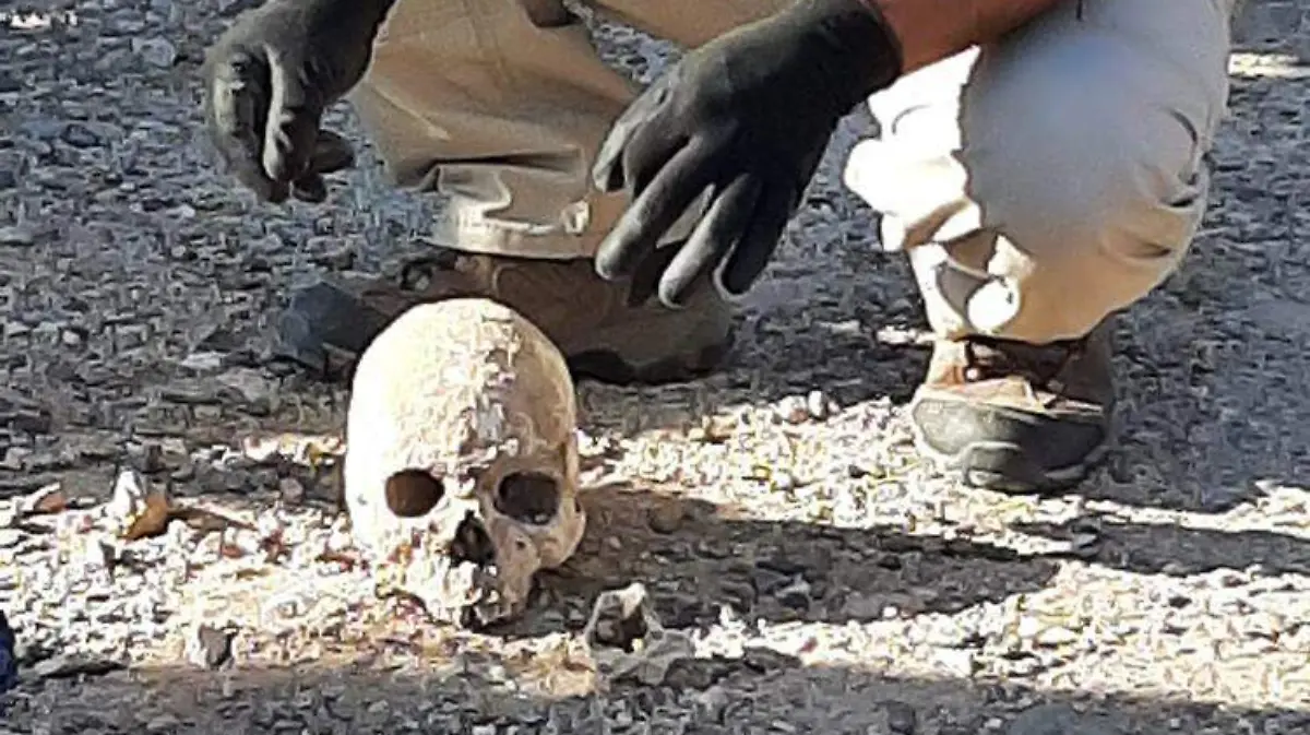 91e7cf99-44ee-4976-8144-8c3184d3a662