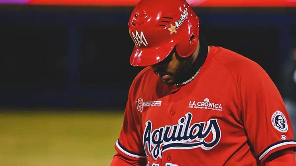 acff0d51-048f-4420-8714-bae4655eea38