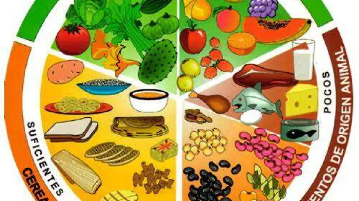 Plato del uen comerI Alimentos