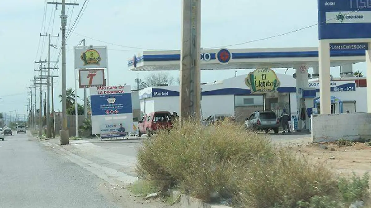 Especial Jaquez Propagacion Buffel - Mike Acosta (14)