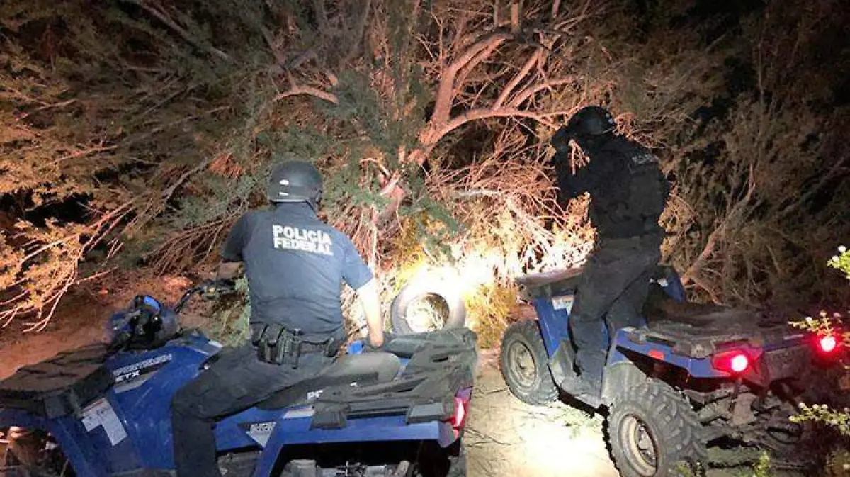 c6e3c394-9239-4e1c-bf69-cc2479da653f