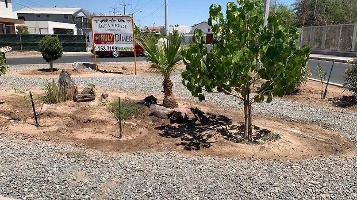 82774a8a-988f-436c-a042-00a167b2c2b0