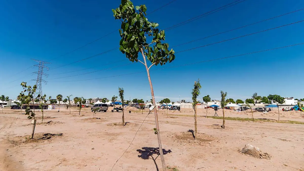 WhatsApp Image 2023-09-30 at 11.41.54 AM (1)