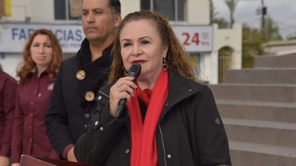 Hildelisa Sánchez Limón