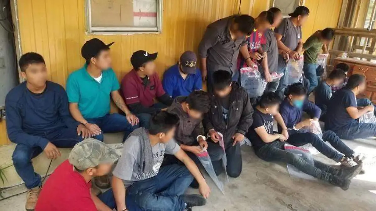 migrantes (2)