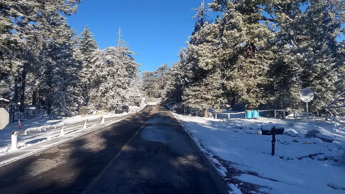 60820209_2511361718887599_2804539727900835840_o