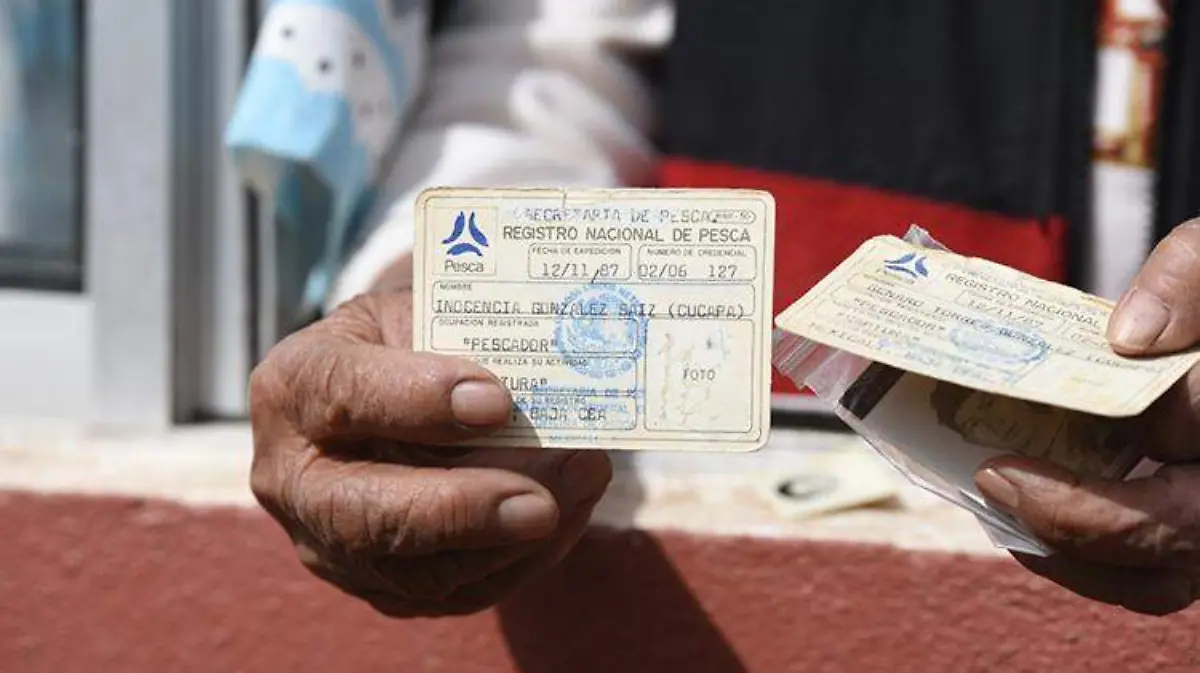 3438c838-a548-45dc-8198-13fad0b8264b