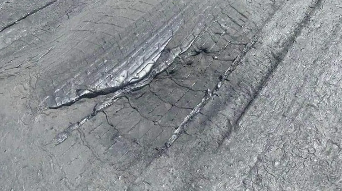 bb2200d0-d604-48ec-81ae-86d9ce3d1383