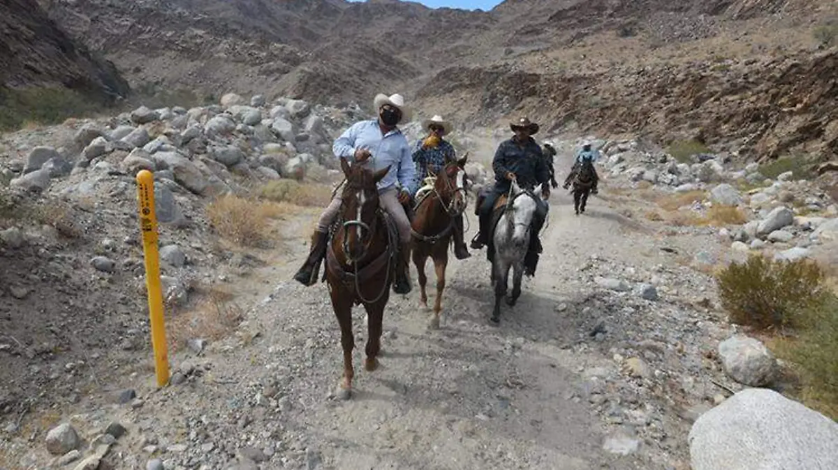 6f43b590-b07b-464d-8a5c-ed9f199ae67a