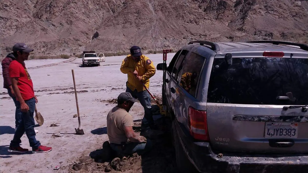 5d420d31-da3c-4fca-85ff-0e6130cc5ae6