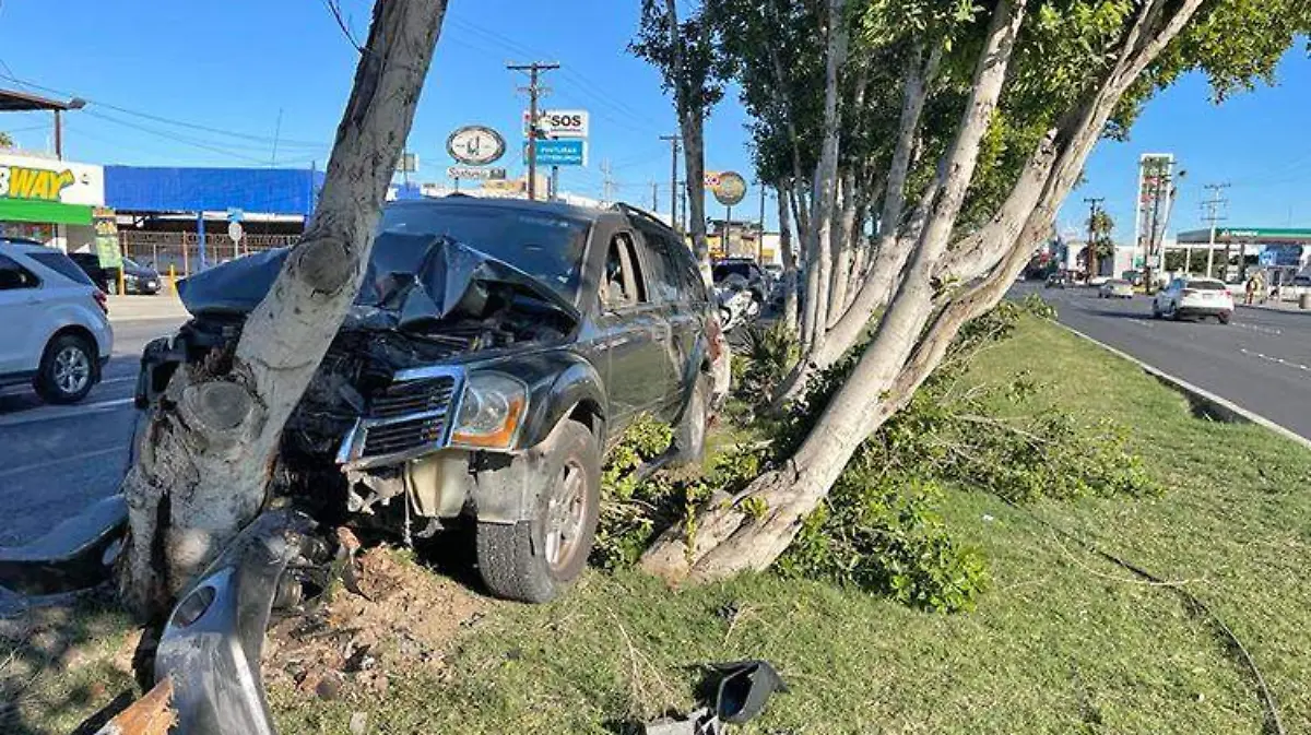 e08acec6-6083-4a9a-8db1-be72d2a64057