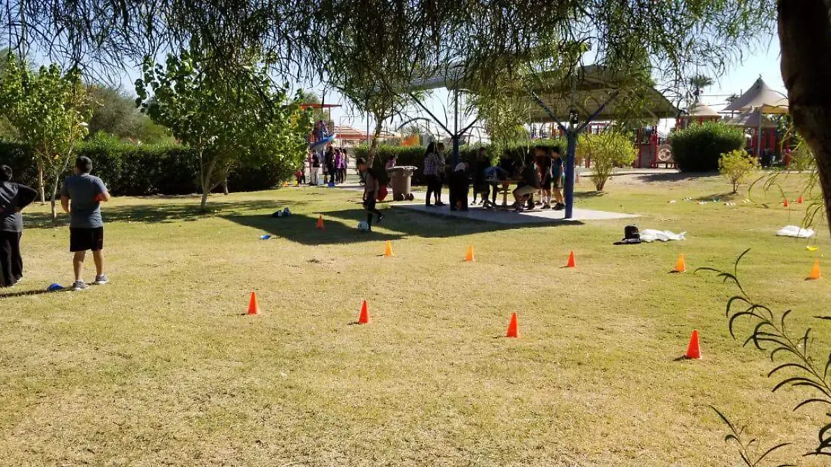 2650bbbc-0452-443b-92a4-6f3eecc72aa9