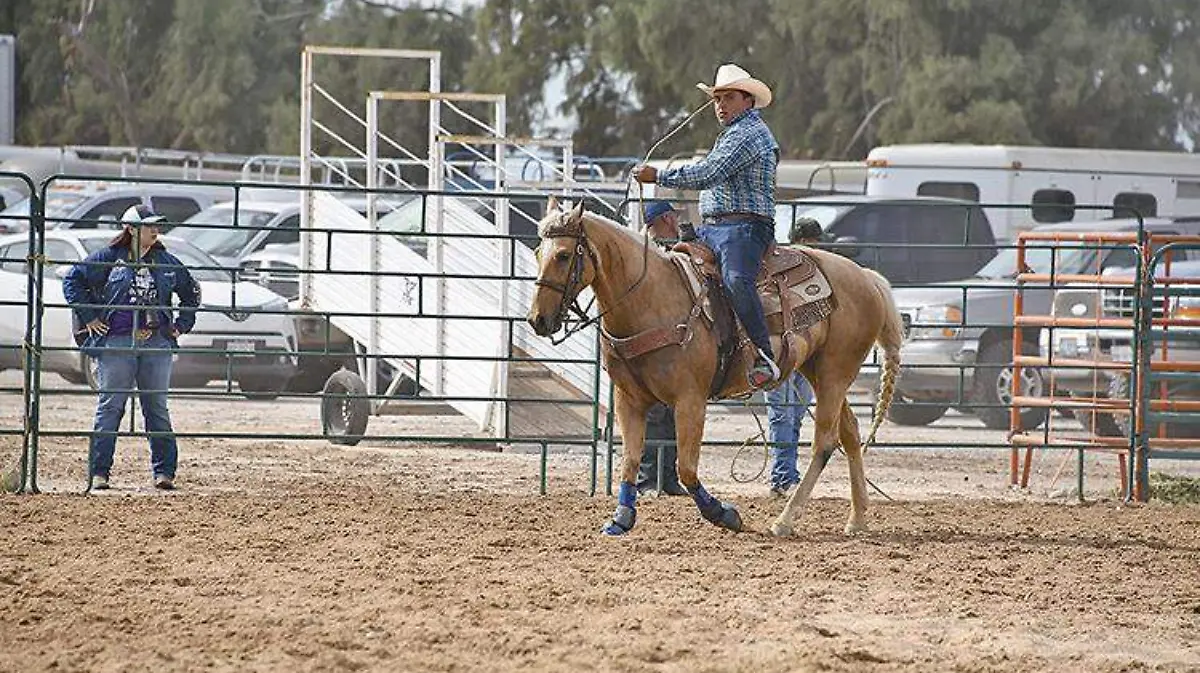 VAQUERO