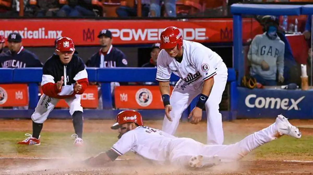 8c54efe1-79a1-4d14-a670-3bdc348de2ac