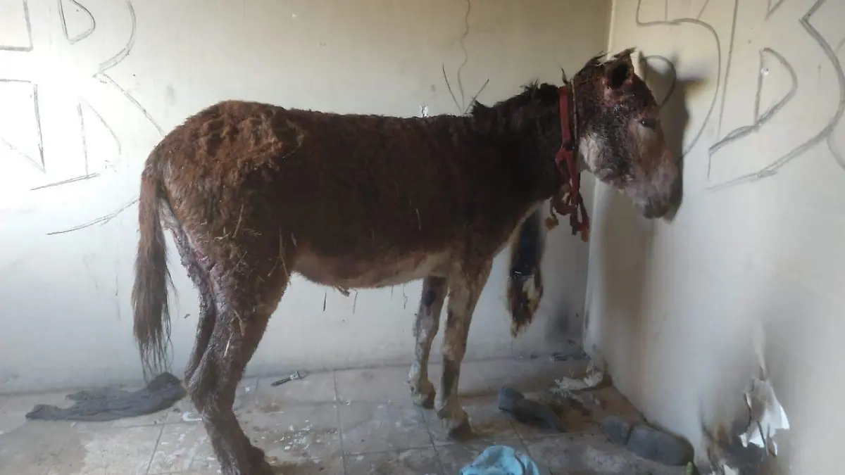 cb6b3171-c020-44d3-b247-8b6ab663082b