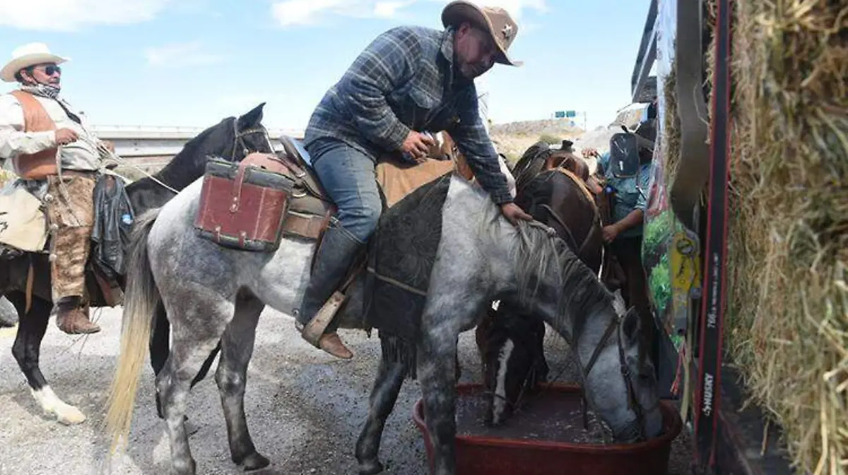 0f92e2bc-bdbf-41f2-8a5a-f46bb154b0d4