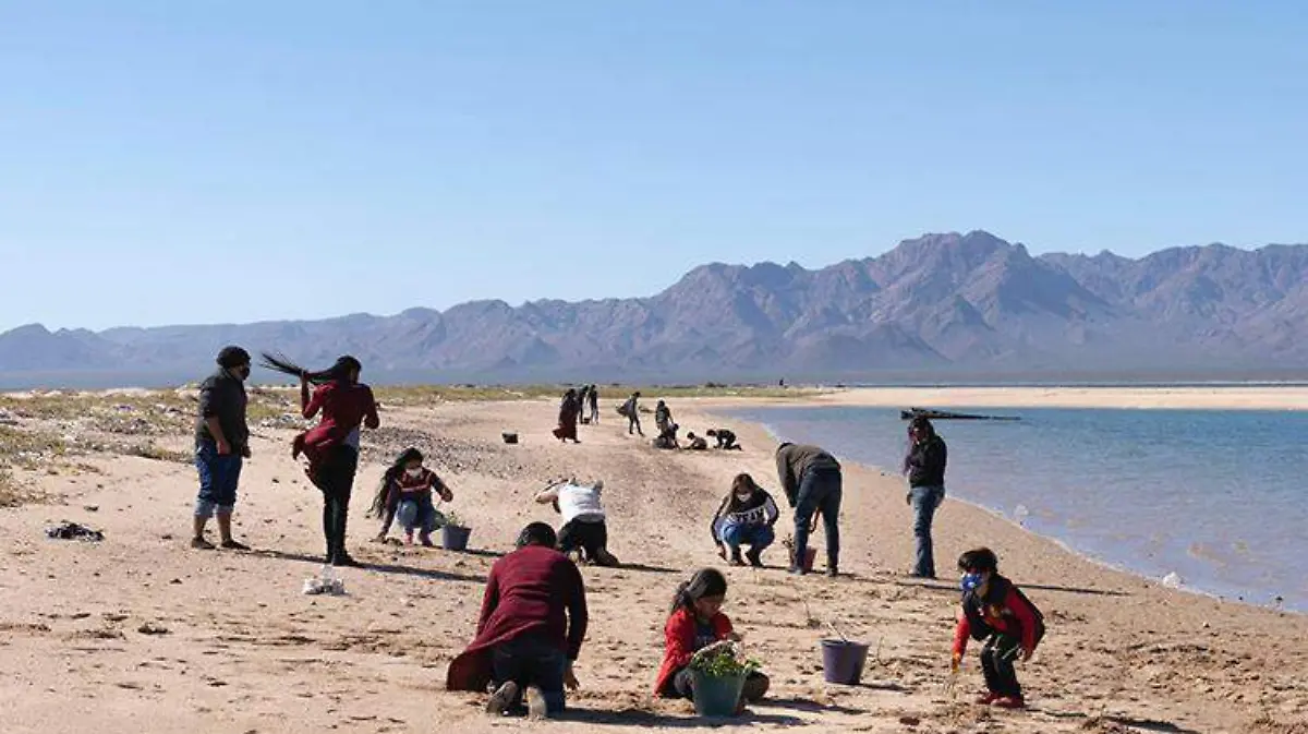 Fotos Cortesía Gerardo López Gerardo 1