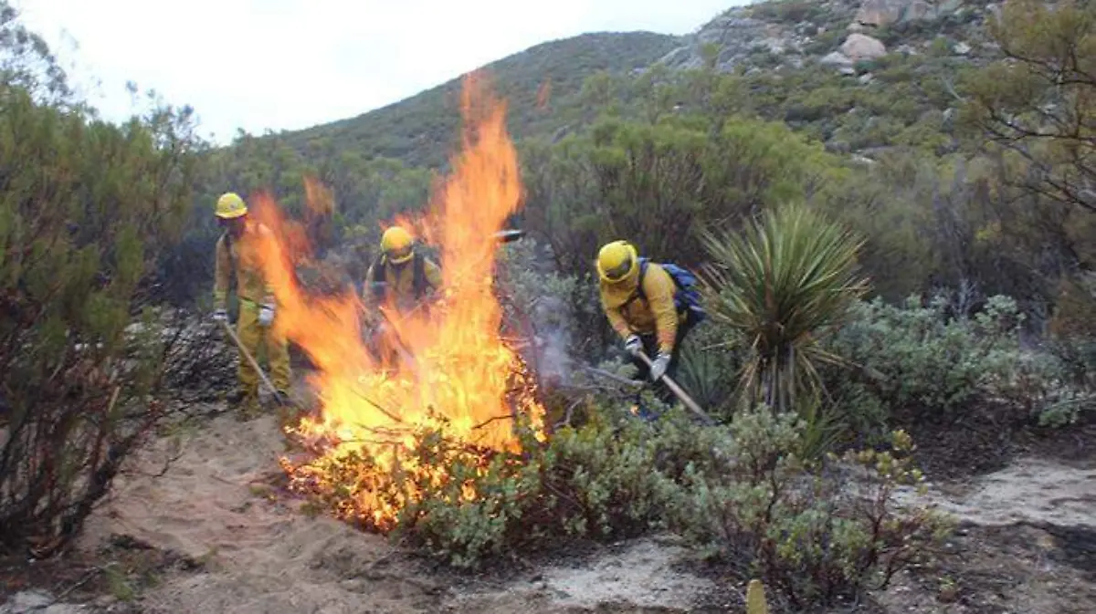 33fc259c-5ed4-45a1-90e0-9a8324a0b8fe