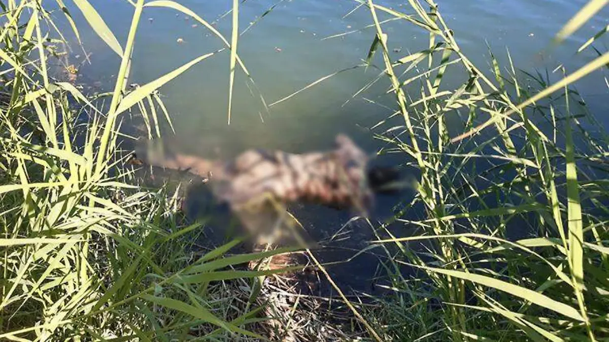 b3a0f8e2-de67-41a9-8a5a-b584b106c045