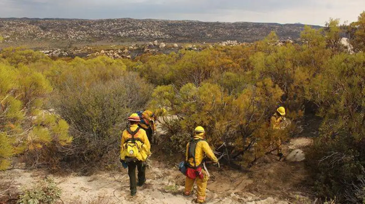 30e8ea2f-91a5-426a-ba53-575e521ef4f8