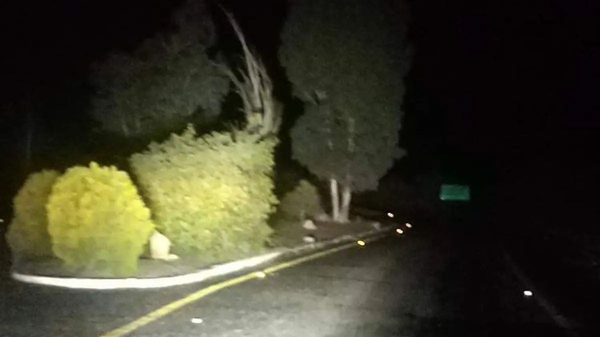 1f14b9c3-523f-4350-9f8c-8eafe40be80c