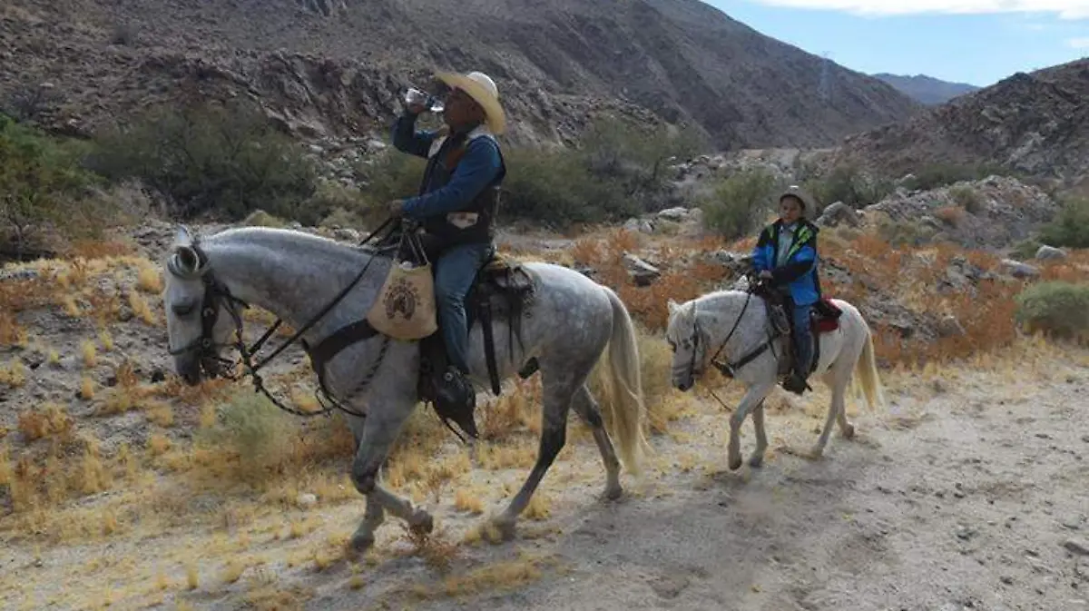 ca775ab2-e685-48bc-b109-b110bff0e7b7