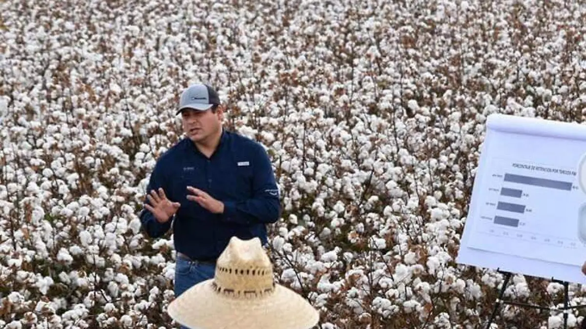 6856f060-ada5-4398-a913-06a4977e4b45