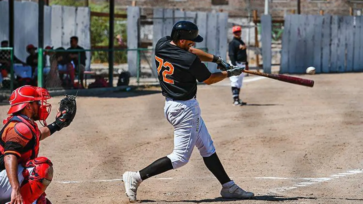 Gil 31