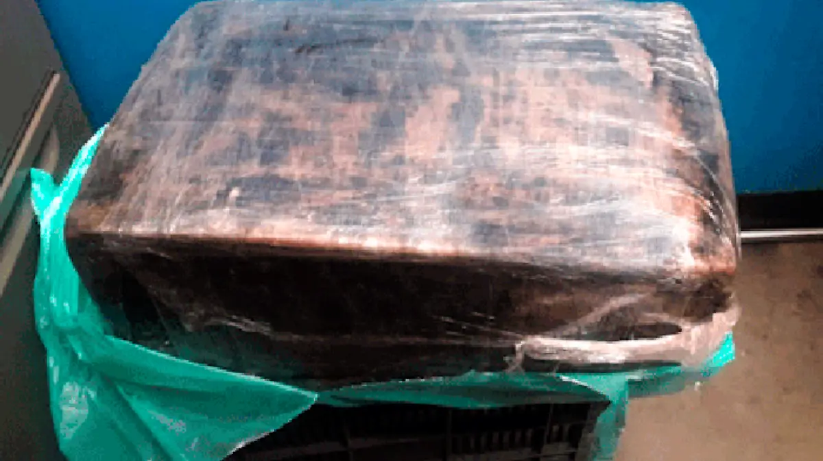 tumblr_inline_p9ph1e6r111qfmhmm_500