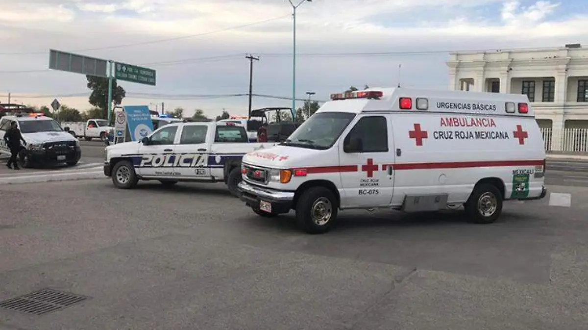 d5605f78-6829-419b-9bc4-274c6345cddc