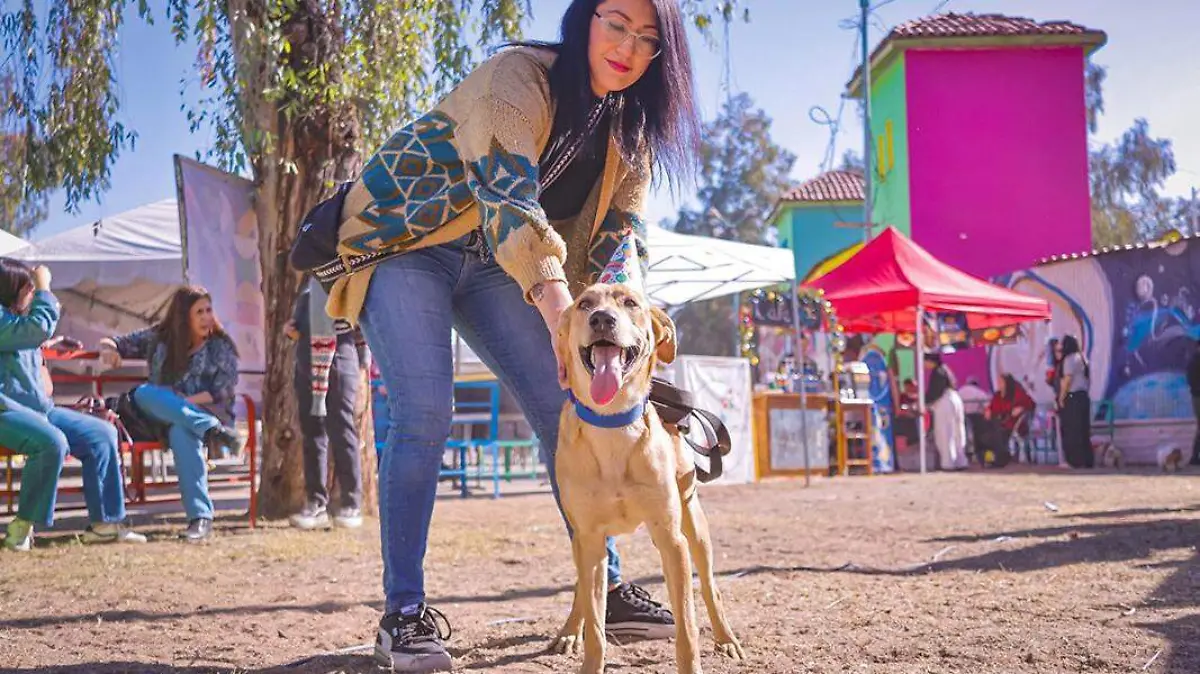 posada canina 3