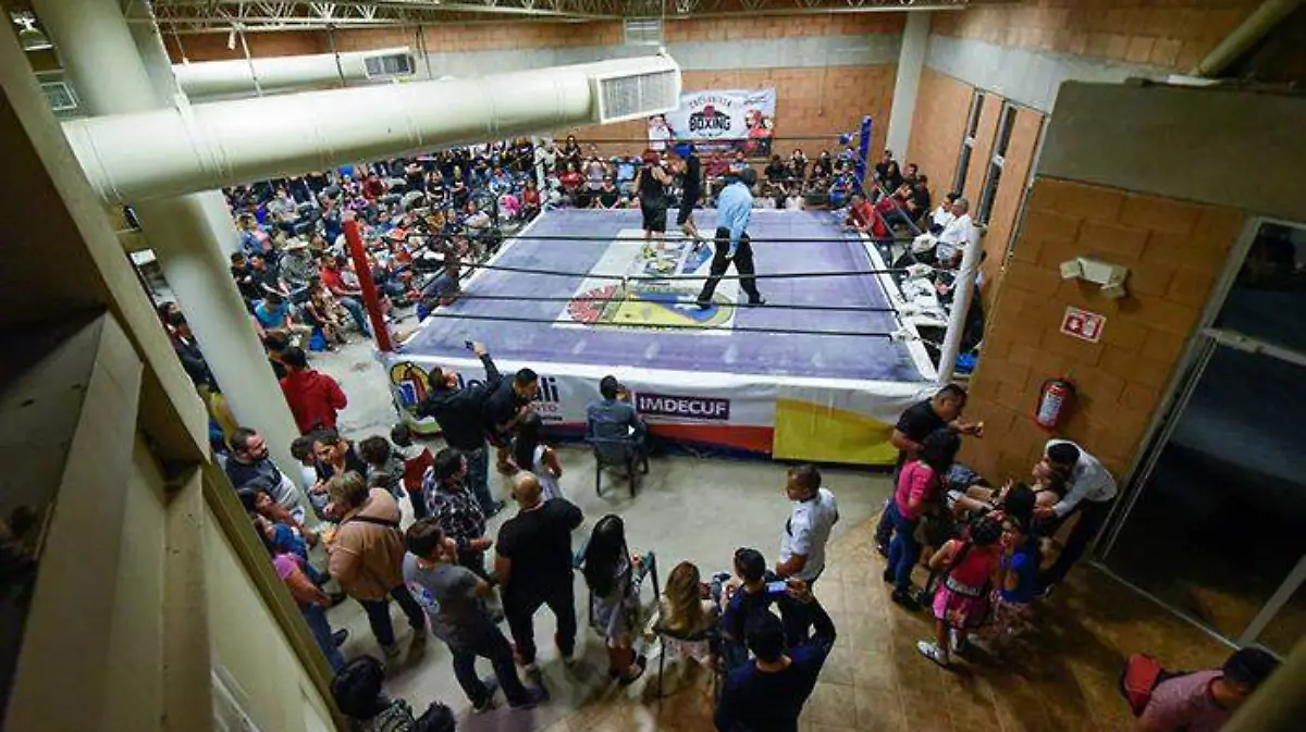 Cachanilla Boxing 2